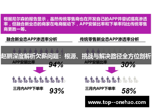 赵鹏深度解析欠薪问题：根源、挑战与解决路径全方位剖析